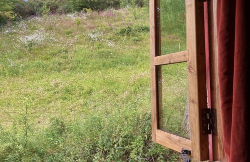 Llanbedr-dyffryn-clwyd Cabin | The Red Shed - A cosy woodland cabin with woodburner