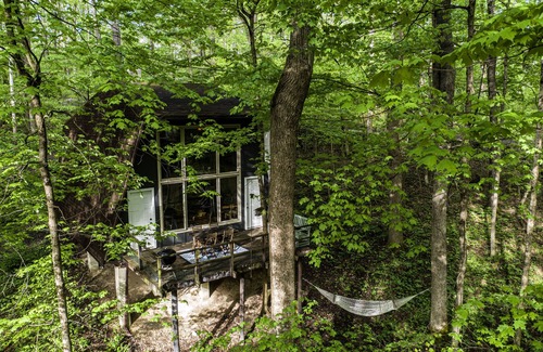 Rockbridge Cabin | The Reed – A Cozy Cabin in the Woods