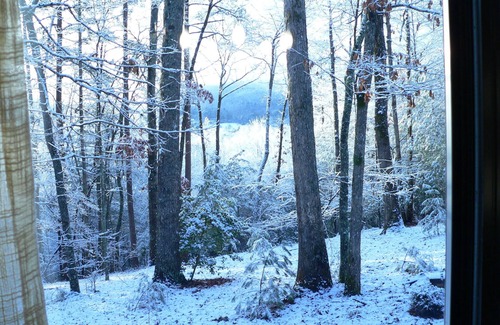 Murphy Cabin | The Rivercane Cabin - Weekly disc, cozy, private, view, 1 mile to JCC Folkschool