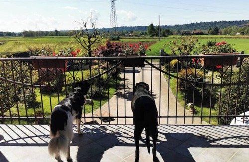 Favria House | The robin's garden - In the Piedmont countryside, your garden for relax!