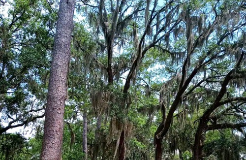Port Royal House | The Shack Is the Best Deal & Location in Port Royal! We will not be beat!