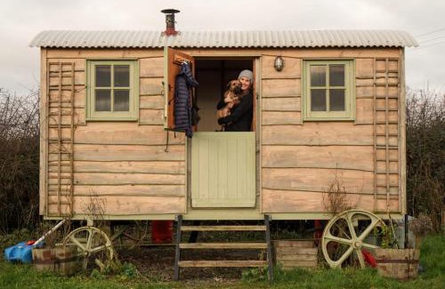 Pontesbury Other | The shepherds hut