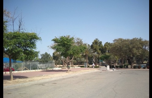 Beersheba Apartment | The small sakura garden