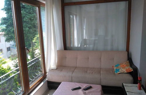 Masukiye House | The Snow Hill House Mimosa