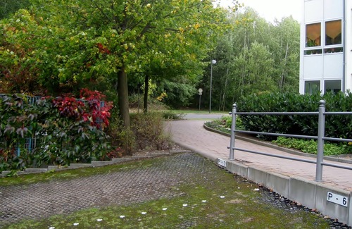 Schondorf Apartment | The spacious apartment with plenty of space and comfort at the edge of the forest