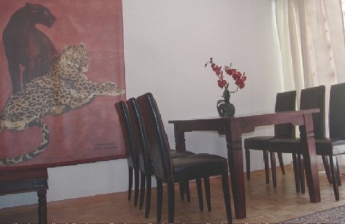 Hartenberg-Munchfeld Apartment | THE SPECIAL WITH CHARM, FLAIR & STICK