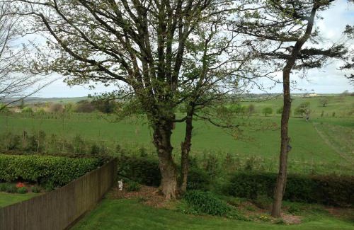 Barnstaple Bed & Breakfast | The Spinney