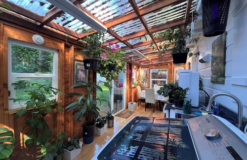 Lane County House | The Swisshome Nest 🌺 is in a beautiful forest🌴 setting 22 miles from the sea🌊