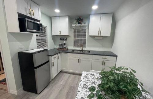 Altamonte Springs Ski Chalet | The Tiny Cottage in the Springs/Central FL