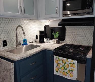 Tampa Apartment | The Torres' Camper Experience!