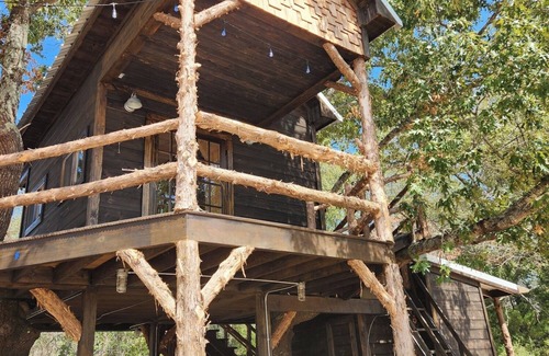 Eustace Cabin | The Treehouse at the Learning Gardens