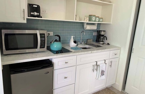 Colliers Bay Condo | The Turtle Nest Oceanfront Studio Cottage in East
