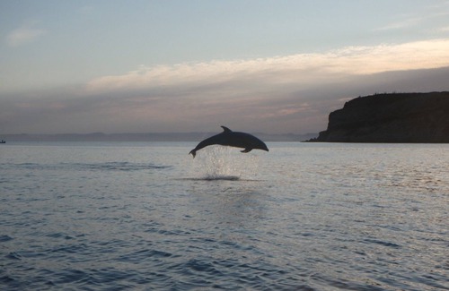 La Paz Boat Rental | The ultimate sailing yacht vacation in the Sea of Cortez. Jersey Girl II