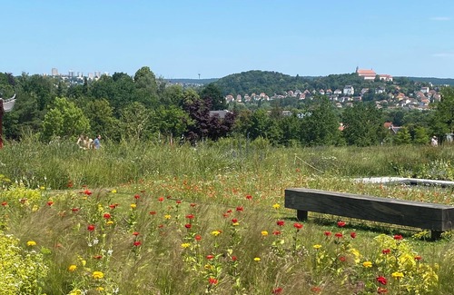 Eichenzell Apartment | The vacation apartment with far-reaching views on the edge of the Rhön