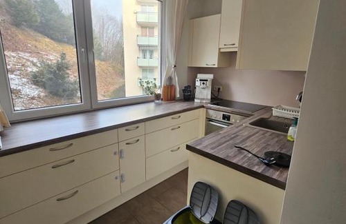 Gmunden Apartment | The View of Austria!