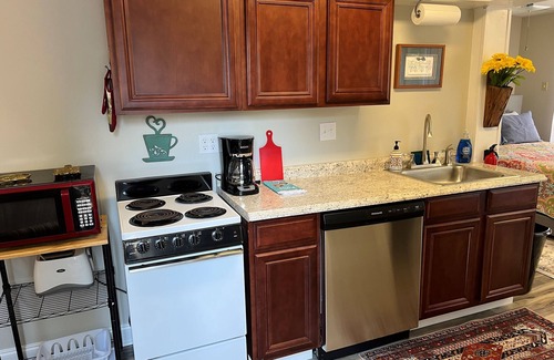 Winston - Salem Apartment | The Vista Studio-Close to Downtown Wake Forest Baptist Hospital