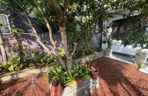 Ambalangoda Bed & Breakfast | The Vitamin Sea