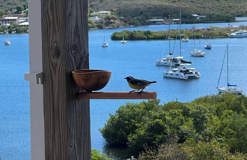 Playa Sardinas I House | The Wind & The Sea, a couples' getaway in Culebra, Puerto Rico