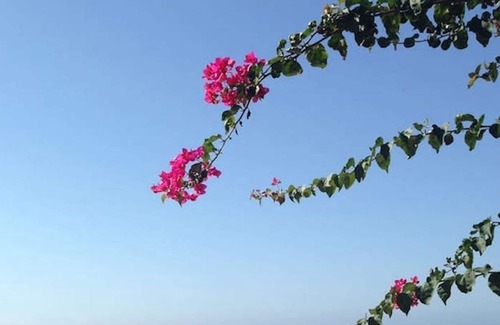 Plemmirio Villa | The window on the sea!Villa on the sea of the Naturalistic Oasis of Plemmirio