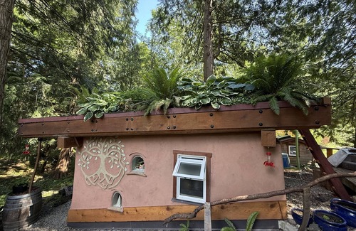 Shawnigan Lake Apartment | The Wobbly Hobbit- a unique cob studio in the forest.