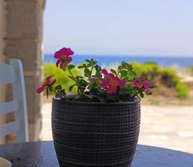 Logaras Apartment | Thea Studio Paros