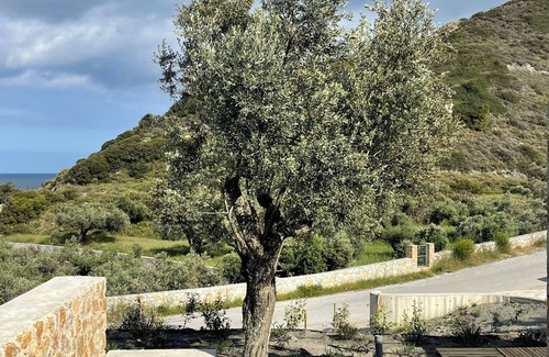 Skiros House | Themis Homes Thallo, 1 of 3 cottages each with plunge pool on private propertyn