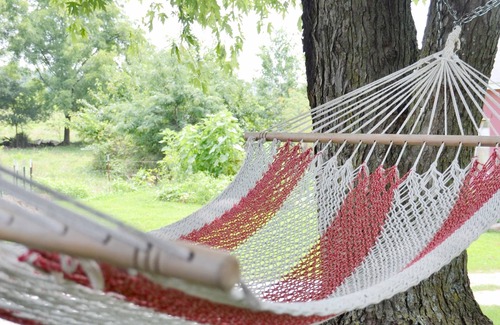 Jasper County Apartment | "Thirties" Apt at Ozark Highlands Farm
