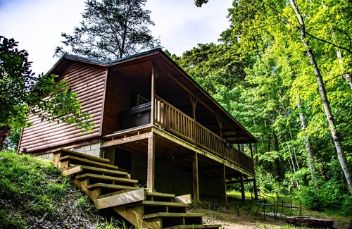 Carbon Hill Cabin | This Cabin will have you Bird watching