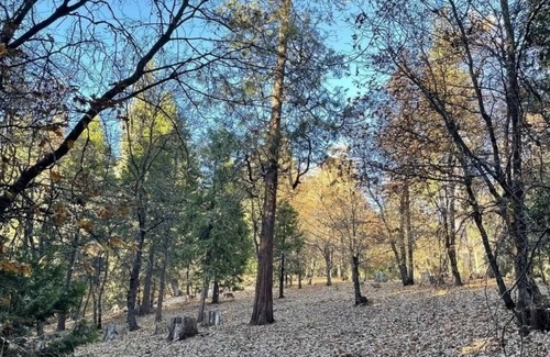 Sonora RV Rental | This campsite provides the ultimate outdoor experience!