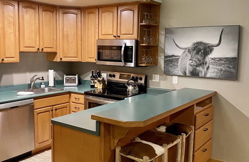 Steamboat Springs Condo | ‘This Must be the Place!’ Ski-in/Ski-out condo with breathtaking views!