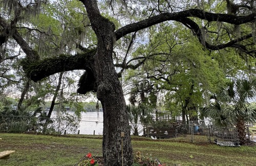 Chiefland House | This Retreat sits directly on the Suwannee River and is your getaway to Nature