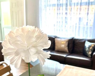 Peterlee House | Thorpe Place
