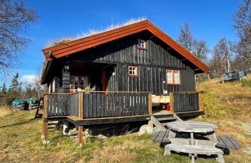 Nore og Uvdal House | Thorpeset cabin by Norgesbooking - cabin with amazing view