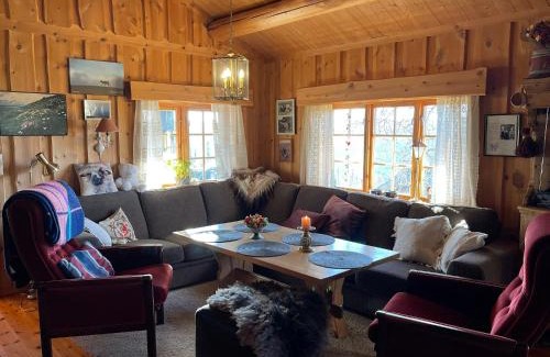 Nore og Uvdal House | Thorpeset cabin by Norgesbooking - cabin with amazing view