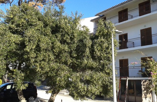 Brela Apartment | Three bedroom apartment with terrace and sea view Brela, Makarska (A-20007-a)