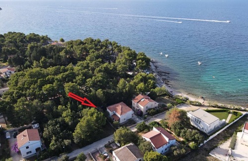 Susica Apartment | Three bedroom apartment near beach Sušica, Ugljan (A-21389-a)