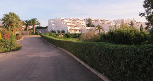Lagoa Apartment | Three Palms Apartment