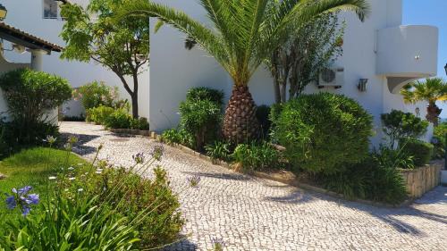 Lagoa Apartment | Three Palms Apartment