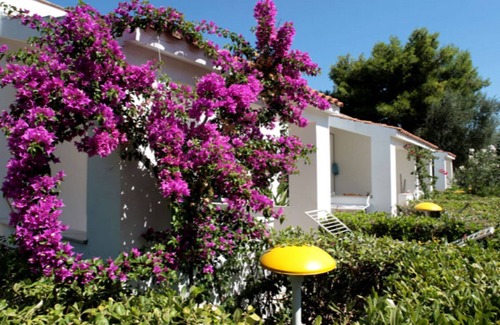 Vieste Resort | Three-room apartment in Residence - App 1 - with swimming pool near Vieste, Gargano, Puglia