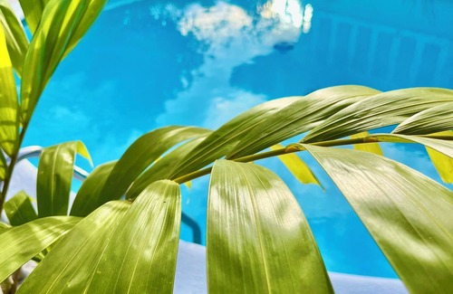 Punaauia House | Tiaki Guesthouse: 5min drive from the beach, Prime Location near Punaauia Center