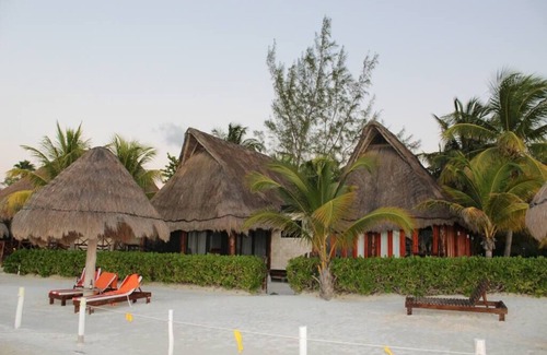 Isla Holbox House | Tiburón Ballena Summa