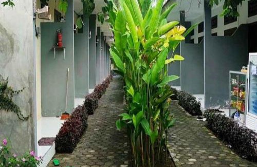 Mangsit House | Tiffany Garden