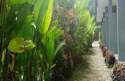 Mangsit House | Tiffany Garden