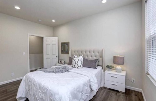 Horace Mann Apartment | Tiger Shark Room | SJ Shark House