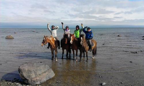 Hellamaa House | Tihuse Horsefarm B&B