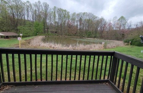 Lynchburg House | Timberlake Rd 7 mins to L.U. Terrific Townhome