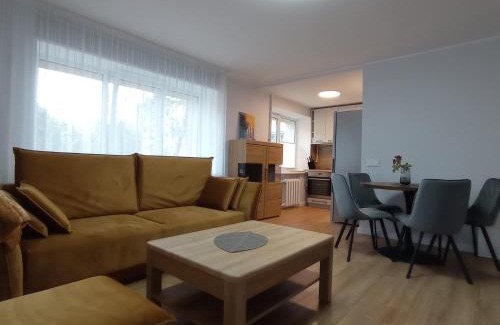 Druskininkai Apartment | TIMO butas