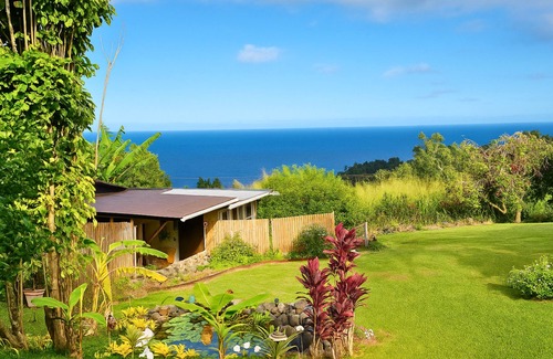 Papaaloa Cabin | Tiny Cottage 1 Bed Ensuite Bath Sunrise Ocean View, Farm Cottage W/Sunrise & Ocean Views