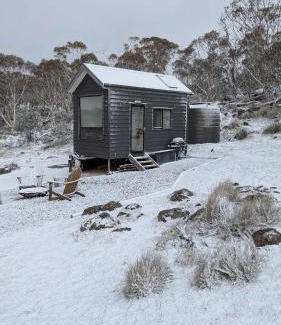 Hill Top House | Tiny Elsie