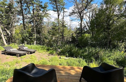 San Martin de los Andes Cabin | Tiny house in the forest